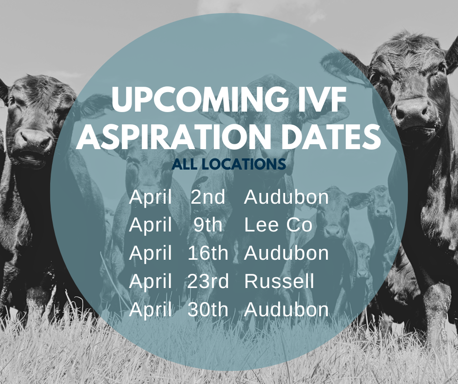 Email cattlerepro@amvcms.com or call 712-563-4201 to get on the schedule!