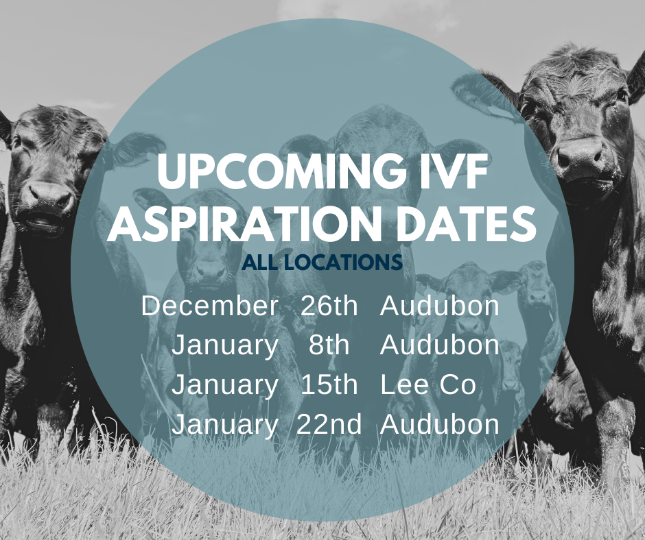 Email cattlerepro@amvcms.com or call 712-563-4201 to get on the schedule!