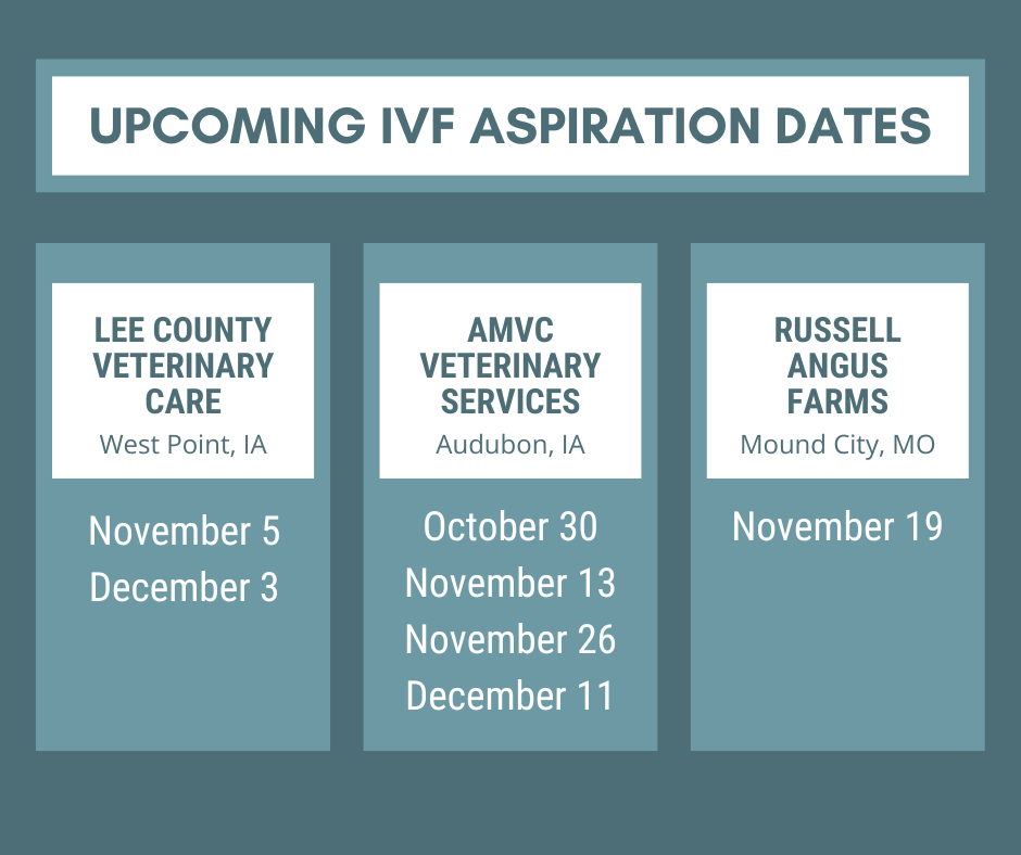 Email cattlerepro@amvcms.com or call 712-563-4201 to get on the schedule!