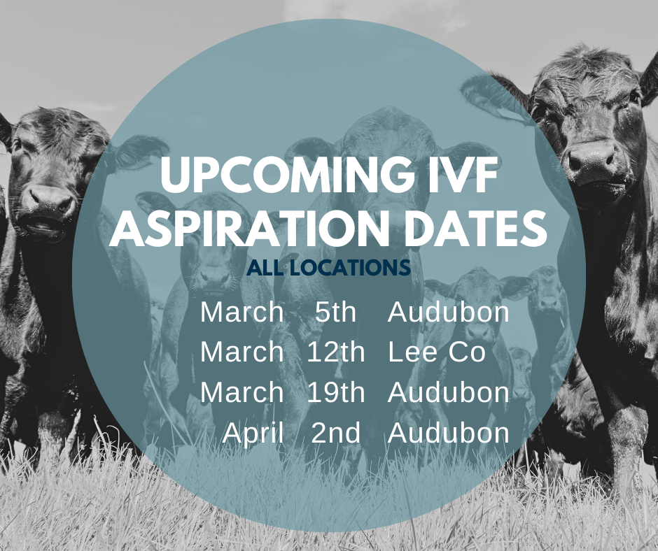 Email cattlerepro@amvcms.com or call 712-563-4201 to get on the schedule!